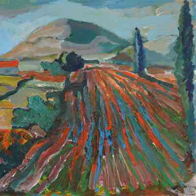 The Plowed Field